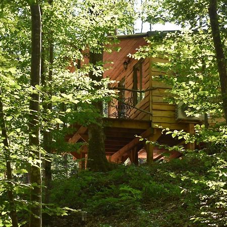 La Cabane Aux Ecureuils Philippeville Kültér fotó