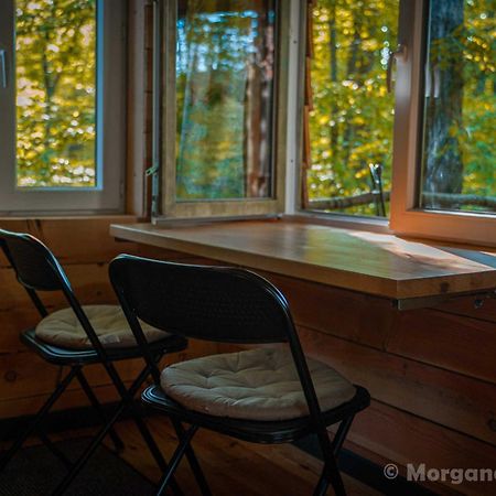 La Cabane Aux Ecureuils Philippeville Kültér fotó