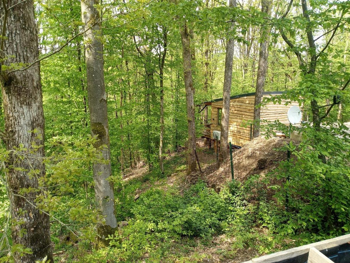 La Cabane Aux Ecureuils Philippeville Kültér fotó