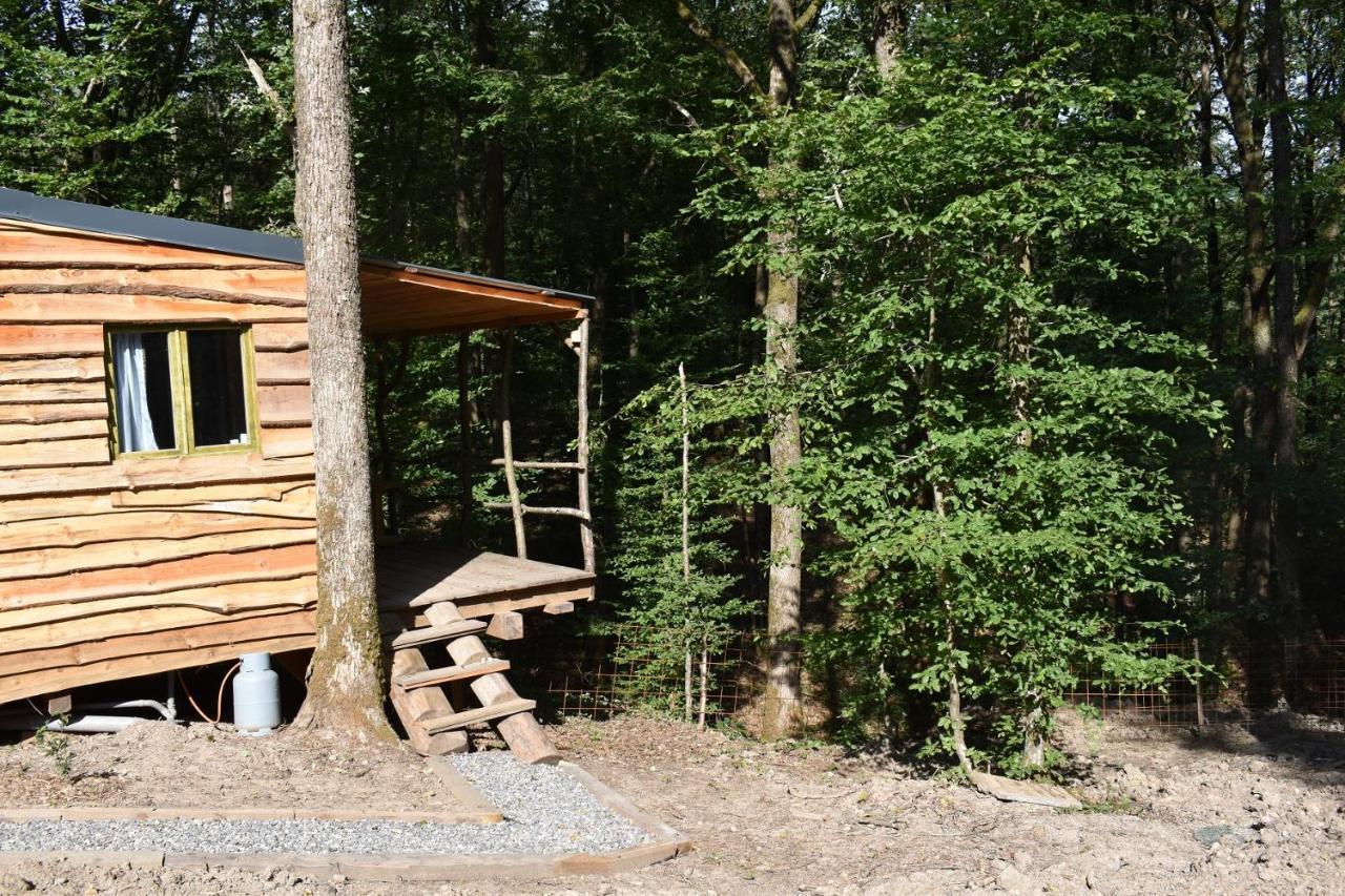 La Cabane Aux Ecureuils Philippeville Kültér fotó