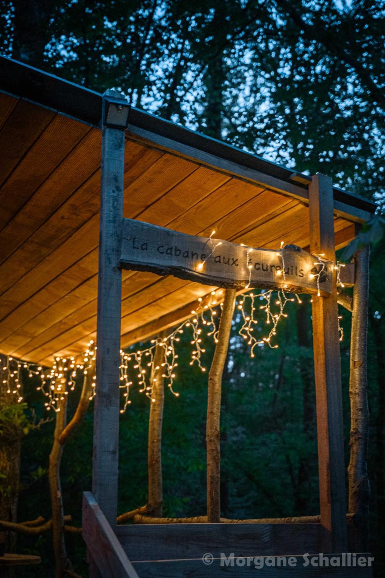La Cabane Aux Ecureuils Philippeville Kültér fotó