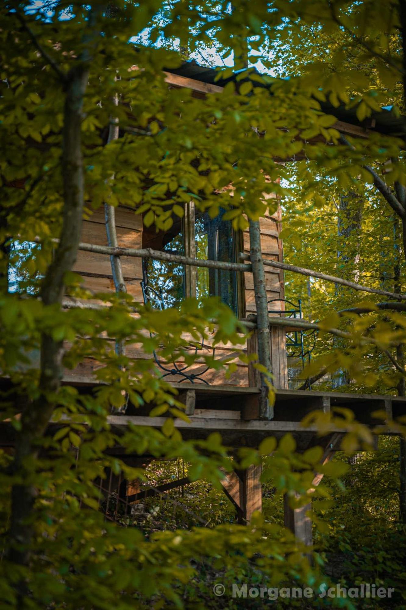 La Cabane Aux Ecureuils Philippeville Kültér fotó